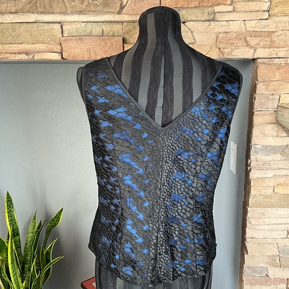 Carlisle Sheer Lace Silk Event Party Top Holiday Elegant Cobalt Blue Black 8 - Picture 4 of 11